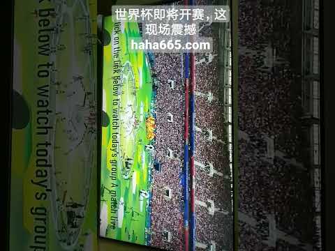 Believe,迪士尼邮轮,新船,彩5彩票,彩票平台,高频彩票,在线投注,彩票分析