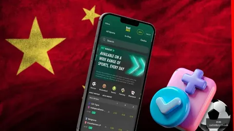 “萨尔布吕肯止步决赛，黑马传奇告一段落”